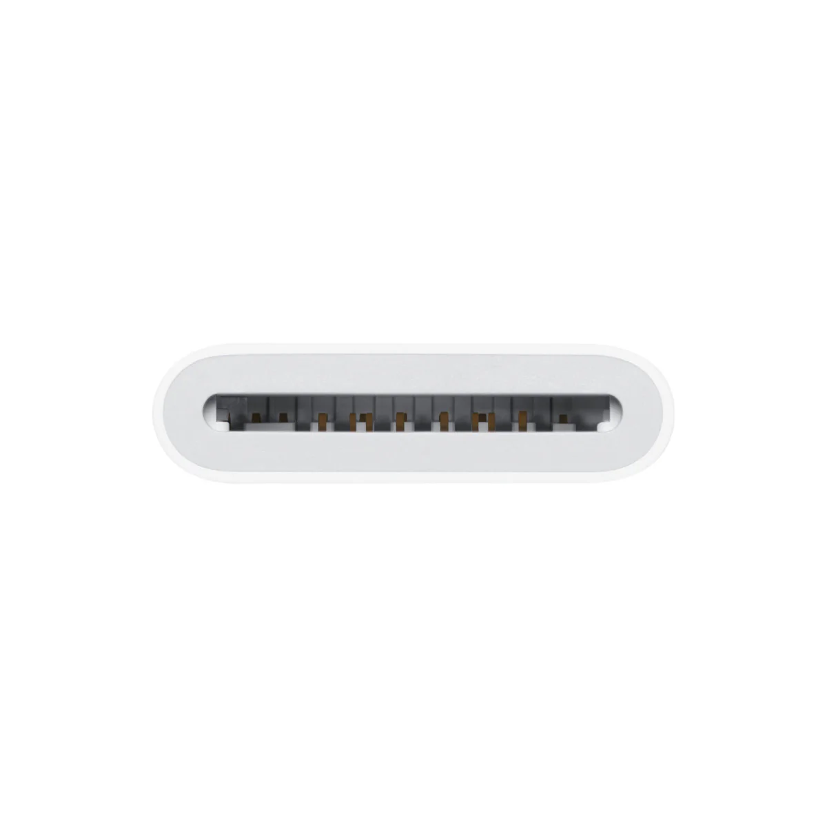 Apple USB-C to SD Card Reader (2024) - Image 2